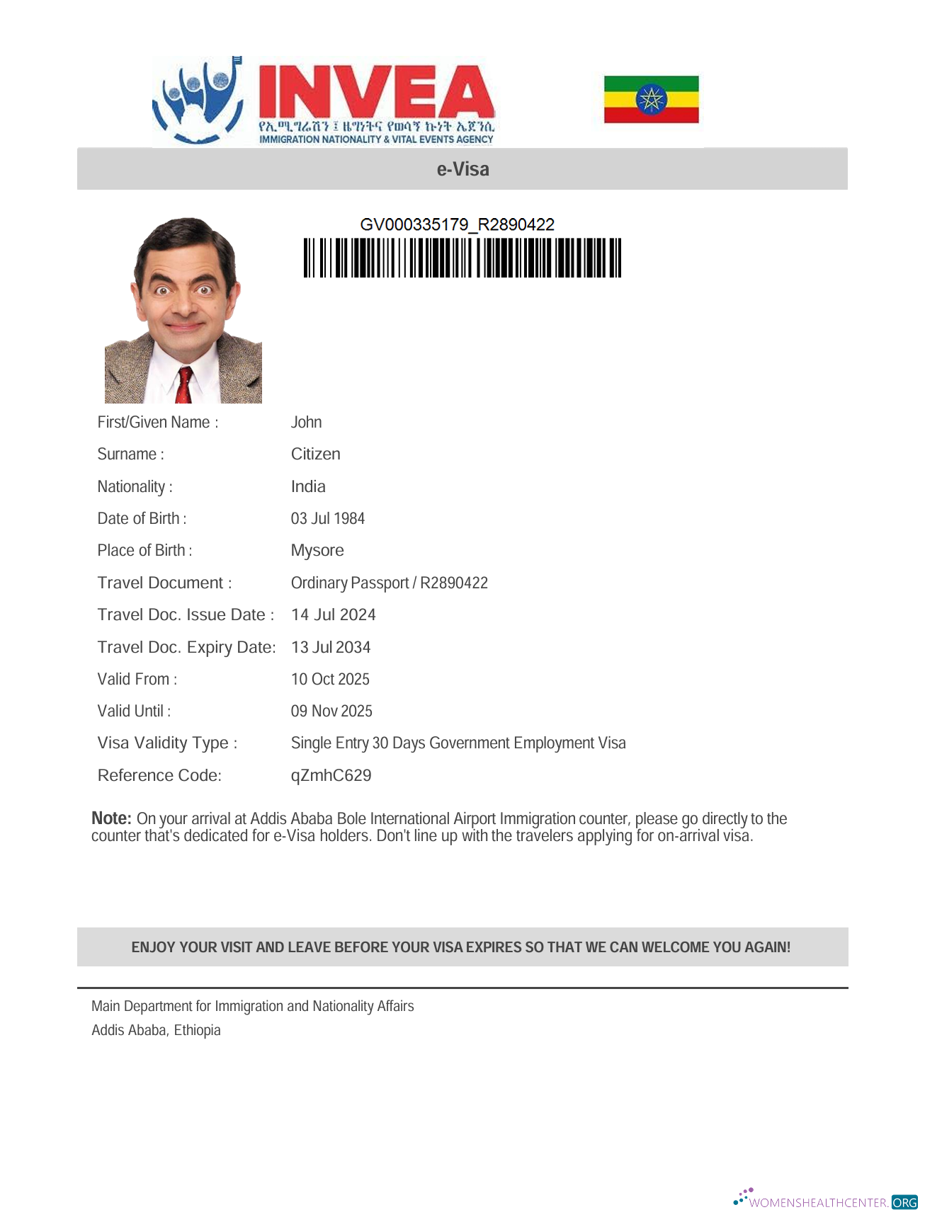 Download Ethiopia e visa template in Word and PDF formats Photoshop template